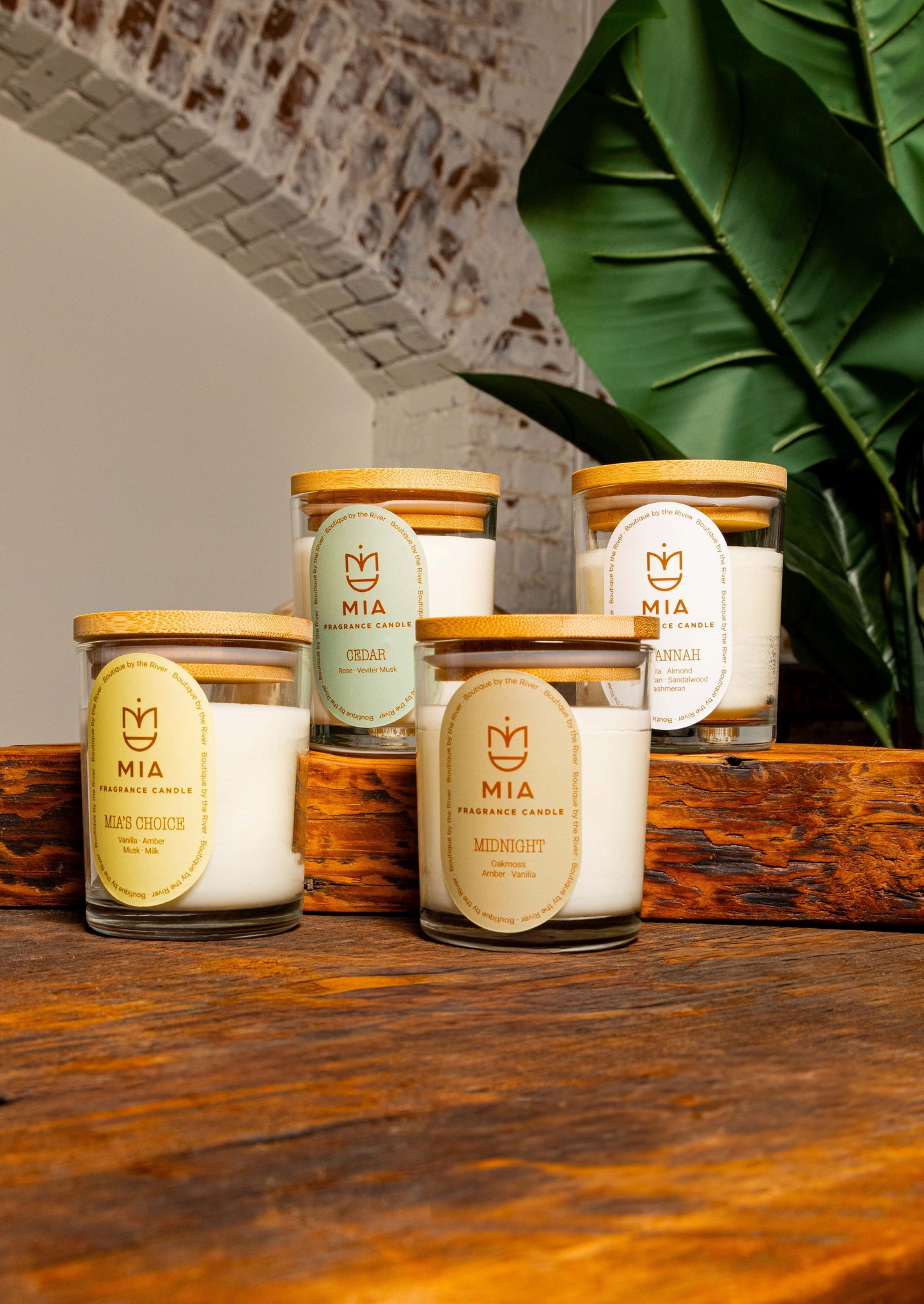 Cedar - Candle